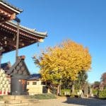 ソフトウェア品質特性を調べてみた4～使用性～