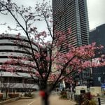 ソフトウェア品質特性を調べてみた5～信頼性～