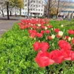 ソフトウェア品質特性を調べてみた6~セキュリティ~